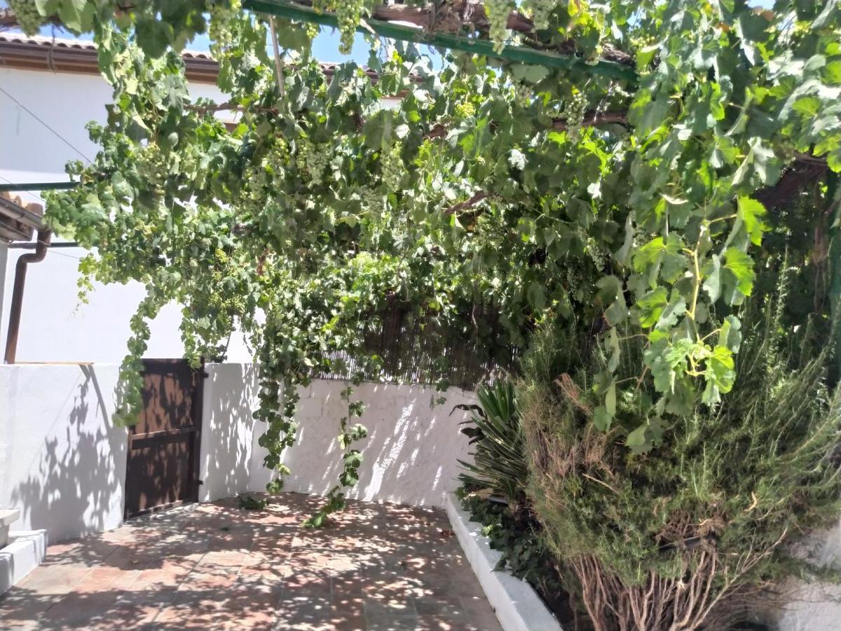 La Casa del Inglés Montefrío Exterior foto